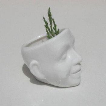 Modern Skull Planter