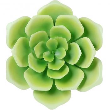 Toile de Fond Florale Succulente Décor