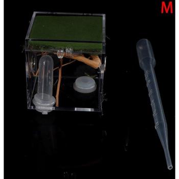 Acrylic Eco Box