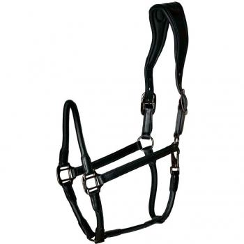 Halter de Cuero Negro para Pony Catago
