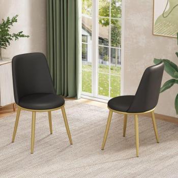 Okwish Esszimmer-Stühle (2 Stück) – Metallrahmen, gepolsterte Sitzfläche