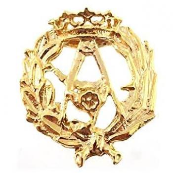 Insignia Profesional de Arquitectura en Oro 18k con Escudo 17 mm pin