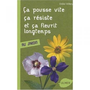 Ca pousse vite, ça résiste et ça fleurit longtemps : Au jardin