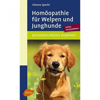 Homöopathie für Welpen und Junghunde