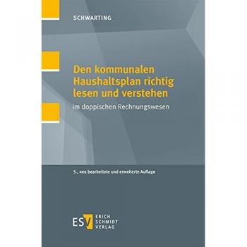 Den kommunalen Haushaltsplan richtig lesen und verstehen: im doppischen Rechnungswesen