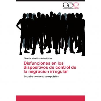 Disfunciones en los dispositivos de control de la migración irregular