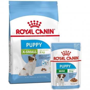 ROYAL CANIN X-Small Puppy 1,5kg + Mini Puppy in Soße 12x85g