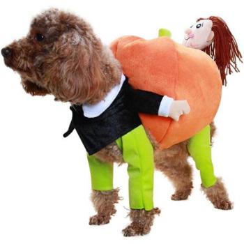 Déguisement Pompée Halloween