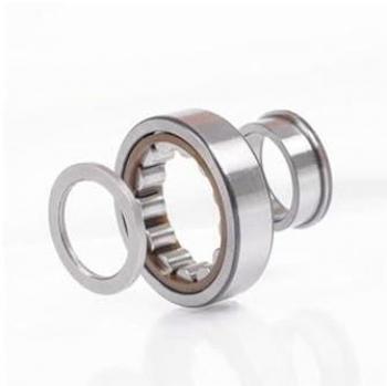 Cuscinetto Rullo NUP307 Ø35-Ø80 mm 21 mm (Foro cilindrico)