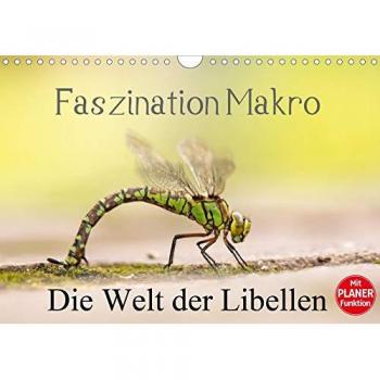 Faszination Makro