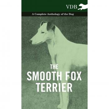 The Smooth Fox Terrier
