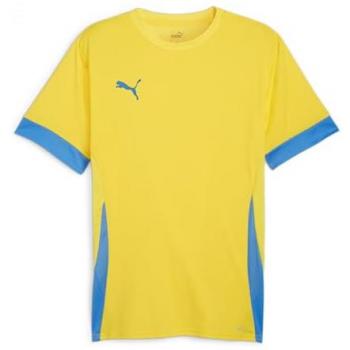 Puma TeamGoal Kinder Trainingstrikot
