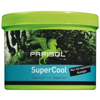 Parisol Instant Chill Aerosol 500 mL