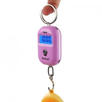 LCD Backlight Hanging Scale 25kg x 5g