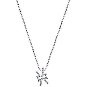 Vissen Zodiac II Pendool – Kleurenspel – Ketting