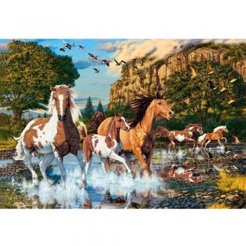 Puzzle 1000 pièces