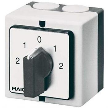 WP 2 Wende‑Polumschalter – 4012799571087, Maico Original