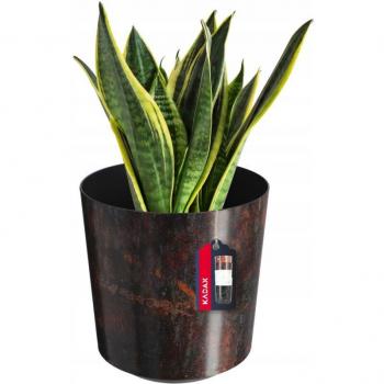 19cm Brown Plastic KADAX Planter