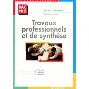 TRAVAUX PROF. ET DE SYNTHESE BAC PRO 1ERE
