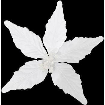 Luce di Stella 22 cm – Feeric Lights