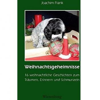 Weihnachtsgeheimnisse: 16 weihnachtliche Geschichten zum Träumen, Erinnern und Schmunzeln