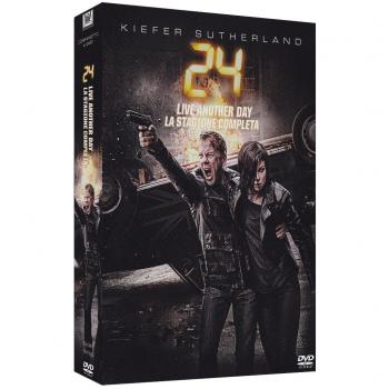 24