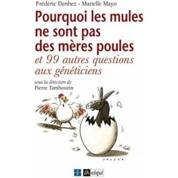 Pourquoi les mules ne sont pas des mères poules ?