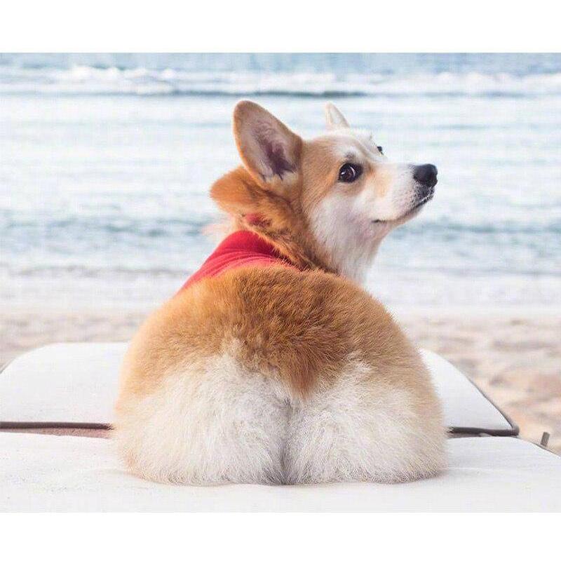#