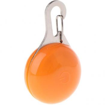 Pet Safety LED Glow Pendant