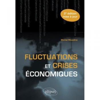 Fluctuations et crises économiques