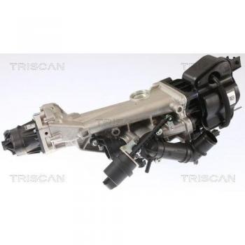 Triscan Válvula EGR 8813 24007