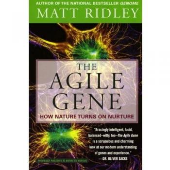The Agile Gene