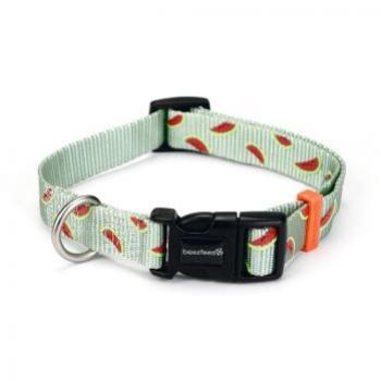 Beeztees halsband Melon