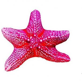 Coussin GABY Étoile de Mer Taille M