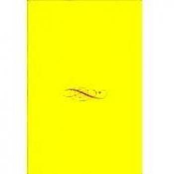 Vitoria-gasteiz mi vida con la ciudad