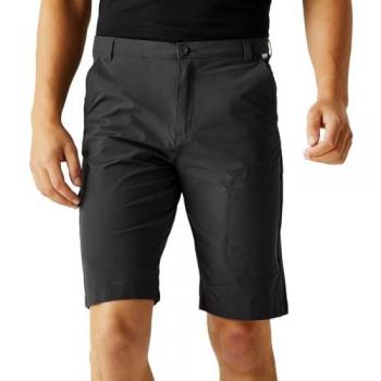 Regatta Highton pantalones cortos de senderismo gris para hombre