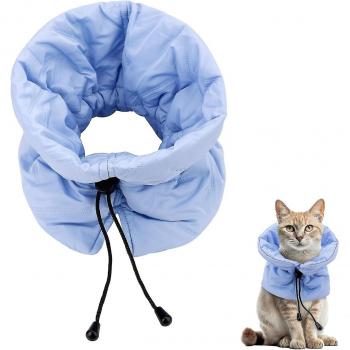 Collier de Cou Élégant pour Chat