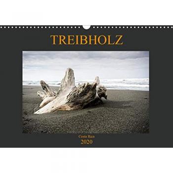 Treibholz Costa Rica