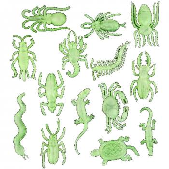 Afterglow Insect and Reptile Assortment