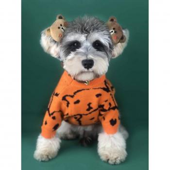 Vêtements chauds pour Chihuahua