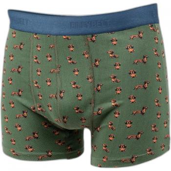 Boxer Billybelt per Teckel