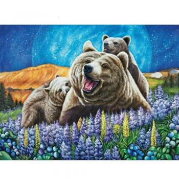 5D pittura diamante orso kit fai da te