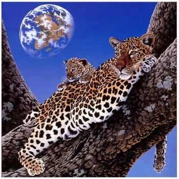 3D Diamond Painting Cheetah