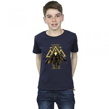 Camicia DC Comics – Legends Collection BI8450