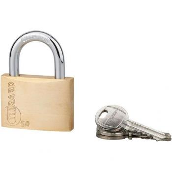 Secura 50 – Arco di Acciaio, 3 Chiavi THIRARD