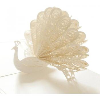 Fleur de Paon – Carte Bonne Année 3D