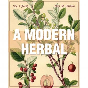 A Modern Herbal