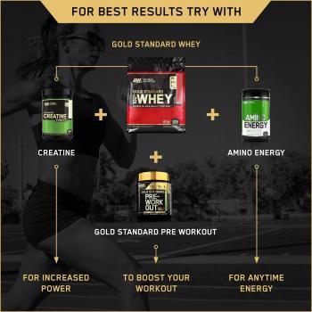 Optimum Nutrition Gold Standard Whey Protein Powder