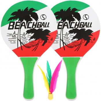 Pickleball Paddle Set