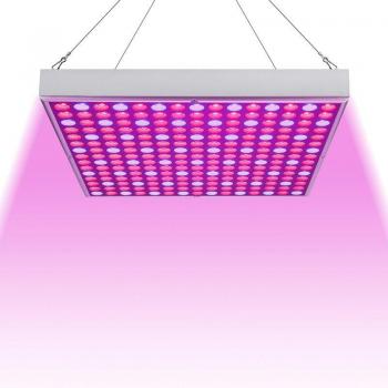 Lampe de Croissance Hydroponique 15W